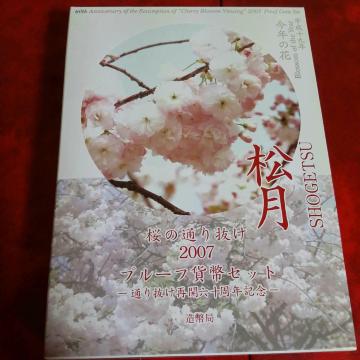 送料無料★さくら通り抜け★プルーフ★未使用品★2点