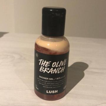 LUSH �R�X���p�i