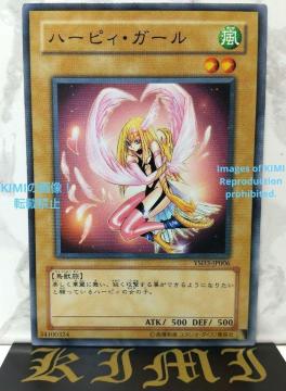 n[sBEK[ YSD3-JP006 2008 VY g[fBOJ[h