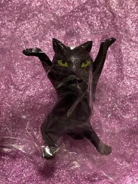 �L �l�R �t�B�M���A ����҂� ���M �u�� ���L