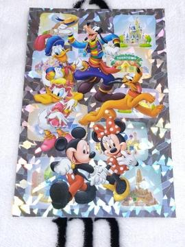 �f�B�Y�j�[���]�[�g�@�|�X�g�J�[�h�@�B