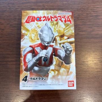 �������E���g���}��5 �E���g���}��