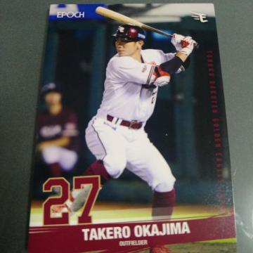 EPOCH �y�V�C�[�O���X�J�[�h�@�������Y