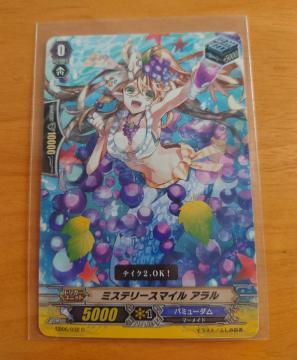 J[ht@CgII@K[h ~Xe[X}C A gK[ EB06/032 C 828