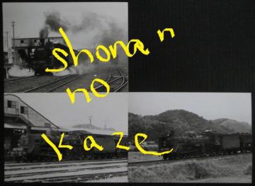 @ubTVPWVv̋MdȃLrlTCY̎ʐ^R