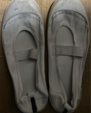 [V[Y  oGV[Y  㗚 23.5 JK