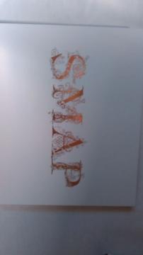 SMAP X}bv@ 25NLO@ʐ^W