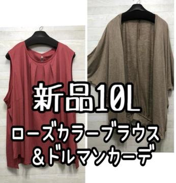Vi10L􃍁[YnuEXJnh}J[fBKyʁQ256