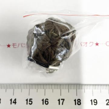 8*Ҳށ̕҂ްٽׯ߁@8