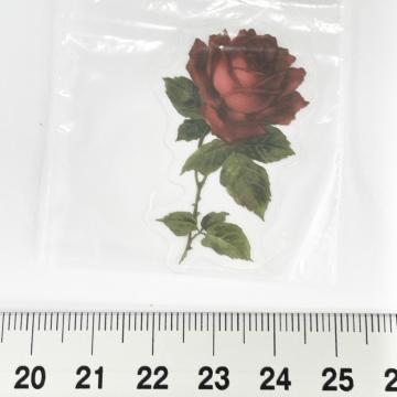 18*װޭف5