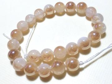 �V�R�΁��V�����p���N�H�[�c�@���E���h�W�����@���A