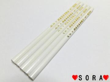 仙鶴牌♪布.プラスチック.ガラス.陶器等に 白色鉛筆 5本セット
