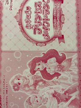 �J�M�� �v�����Z�X���C�N�g�����N���f�B�Y�j�[�v�����Z�X��ԁ�����[�ƎG���t�^