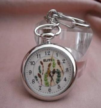 aԂ̃L[`F[EHb`BK-̎v