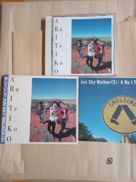 JUN SKY WALKER(S) �A���o���u�����Ă������v