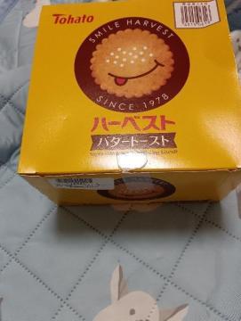 ngAn[xXgAo^[g[Xg