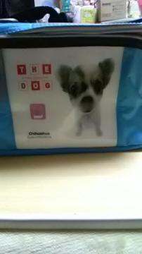 Vi*the dog*ۗobO