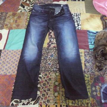 Diesel/ިٽڰ сEްݽ