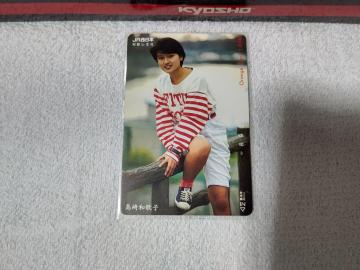 �ڶ1000 ����a�̎q '89/5 JR�����{ �a�̎R�x�� ���g�p