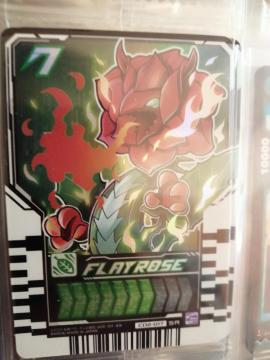 ���ʃ��C�_�[���C�h�P�~�[�g���J19