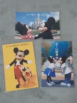 TDL |XgJ[h3Zbg