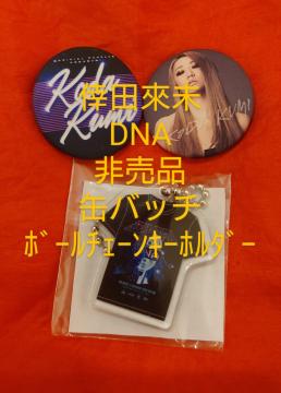 ���c�Җ��@�񔄕i�@�ʃo�b�`�@�{�[���`�F�[���L�[�z���_�[�@�@�@DNA