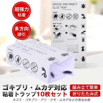 Q SLu Jf ߊl  S gbv V[g 10Zbg gȒP ܂肽ݎ lY~ N A ΍ ܕs