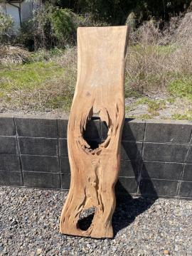 �V�R�� ���C�� �ꖇ�� �I�u�W�F �f�B�X�v���C �V�� DIY�f�� ����I ���R�̕�����