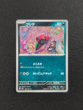 �|�P�J�@�ό��̉��ʁ@�t�V�f