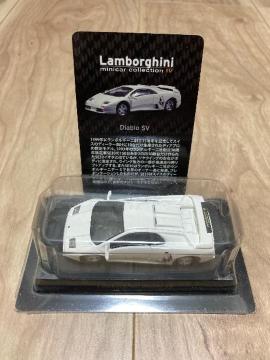 �����{�S�@�f�B�A�u���r�u�@�z���C�g