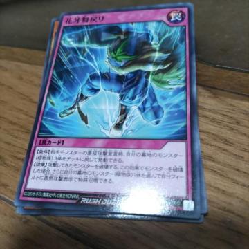 VY ԉ啑߂