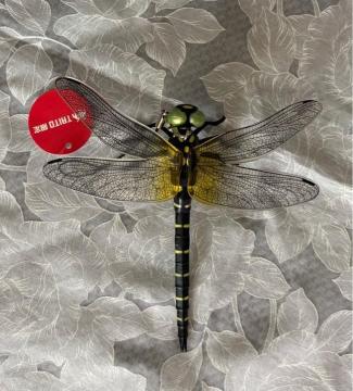 �yTAITO����z���A���I�j�����} �t�B�M���A