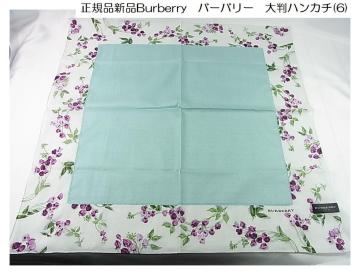 500~X^KgpBurberry@o[o[@唻nJ`i6j