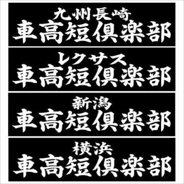 新潟 車高短倶楽部 20センチ 2枚組