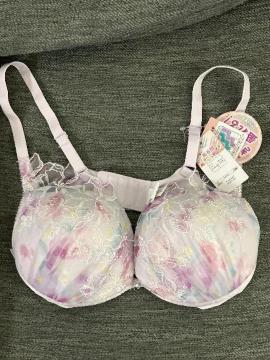 �u���W���[�@���C���[�Ȃ��@L L