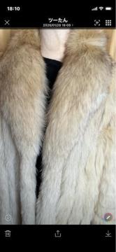 ���r�`�f�`�@���C����FOX�R�[�g