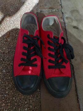 Xj[J[  COLZA    [Jbg  TCY\L fl̐Ŗ23.5cm