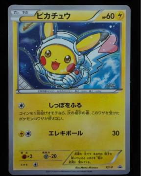 �s�J�`���E �A�[�g�A�J�f�~�[ ���܍�i Mame Akimaru XY-P �v���� �񔄕i ���ޕi