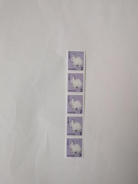 2�~�؎�5��