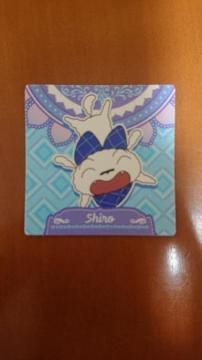 �N���������񂿂��`���R�r�V�[��