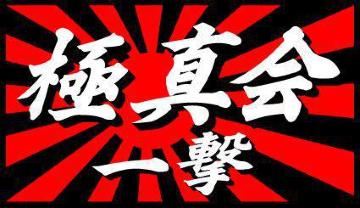 旭日 極真会  一撃  10センチ 2枚組
