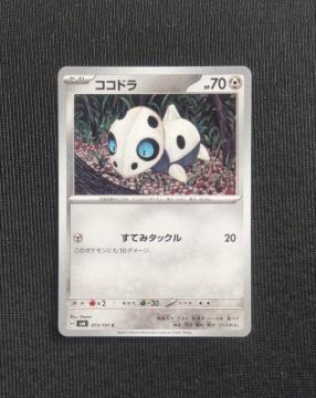 �|�P�J�@�ό��̉��ʁ@�R�R�h��