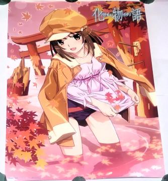 Blu-rayDVD  4ȂłXlCN Εq B2|X^[ 撅wғT