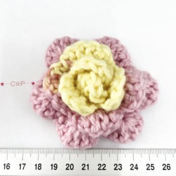 28*Ҳށ􍡔NVFю̊KŃ@17