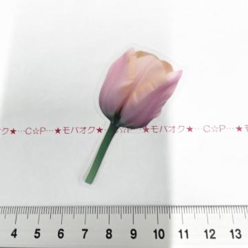 �`���[���b�v�̺װ�ޭ��ف@342