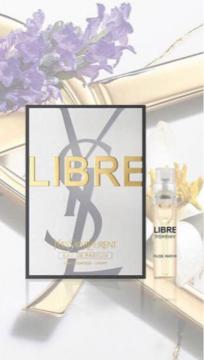 YSL u@I[fpt@