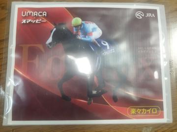 JRA {n@CNCmbNX@C.[R ĝăJC@񔄕i