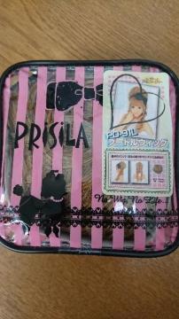 PRiSiLA߰ٳށPD-91LLiYEVi