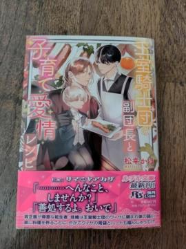 �Q���V���@�@�����R�m�c�̕��c���Ǝq��Ĉ���V�s�@���K����/�T�}�~���A�J�U