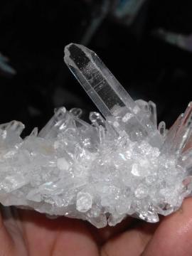 �q�}�����������~�j�N���X�^�[�@